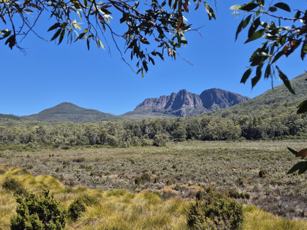 Horizontal Hill and The Guardians overlook buttongrass plains
