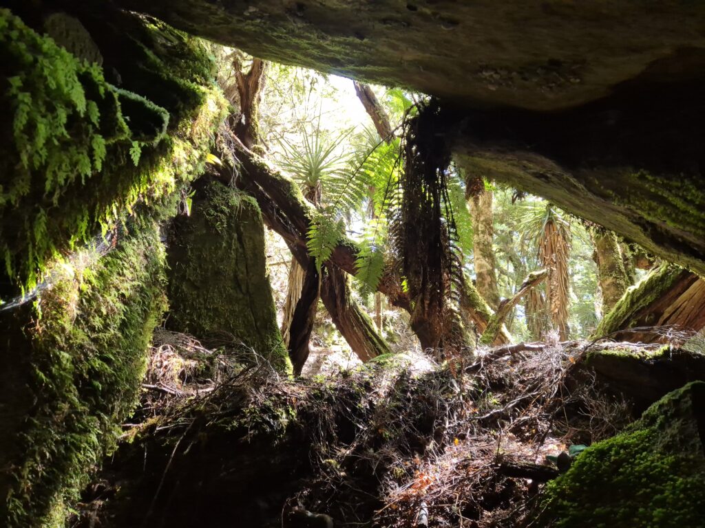 Pseudokarst below Mt Manfred