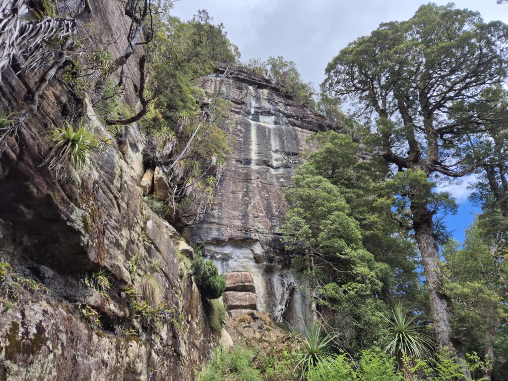 Sandstone cliffs below Mt Manfred
