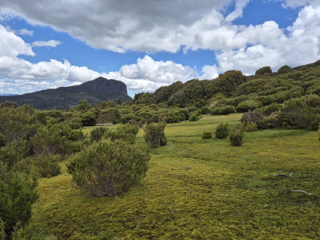 Mossy ramp below Mt Manfred