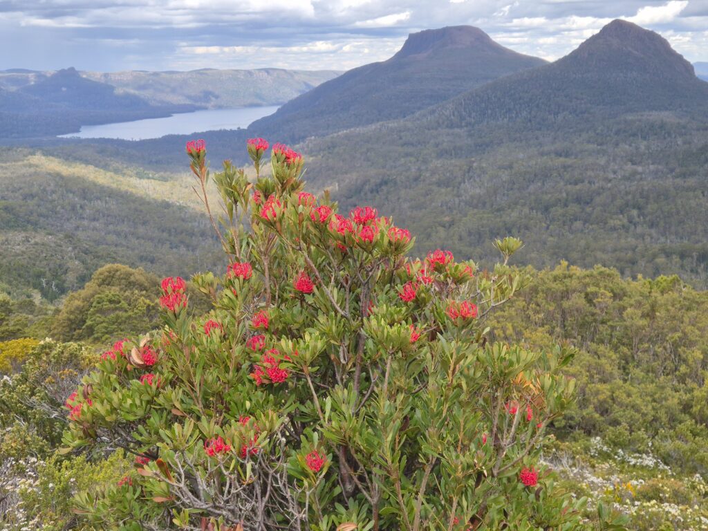 Mt Olympus, Mt Byron and Lk St Clair