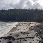 Imitation is the Sincerest Form of Flattery