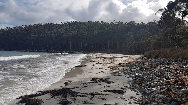 Imitation is the Sincerest Form of Flattery