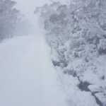 kunanyi / Mt Wellington Snow Run