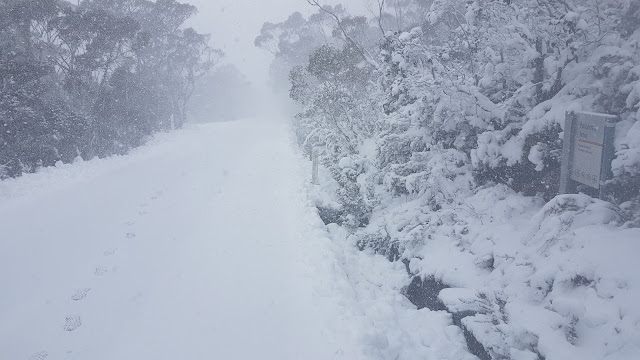 kunanyi / Mt Wellington Snow Run