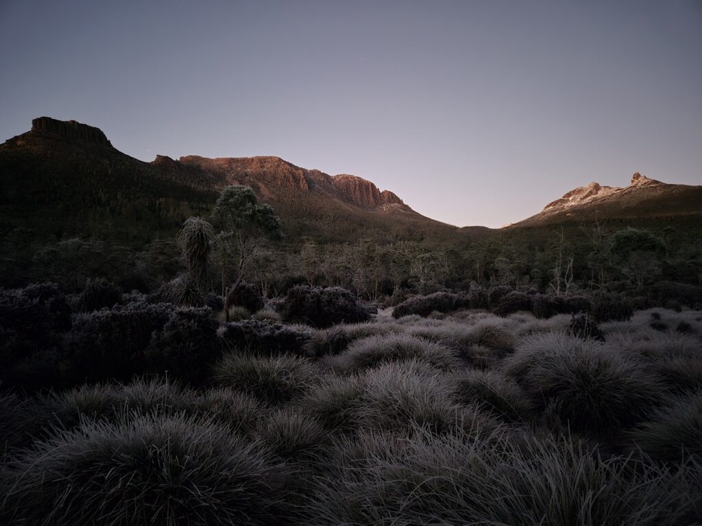 Paddys Nut, Thetis and Achiles