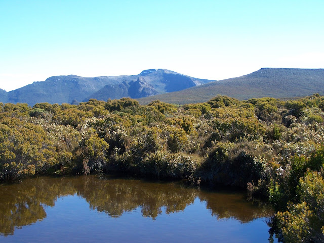 Bullfrog Tarns