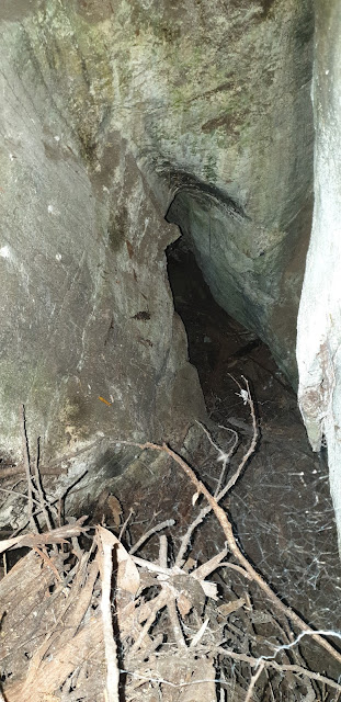 Small cave near Mystery Creek