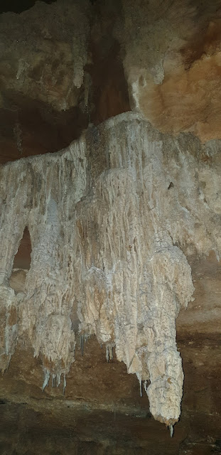 Mystery Creek Cave staletites