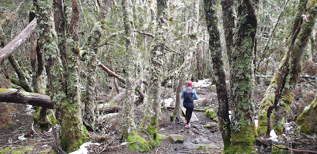 Descending Pelion Gap