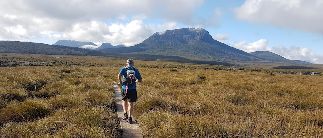 Pine Forest Moor and Mt Pelion West