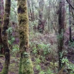 Western Arthur Winter Amble – Part 1