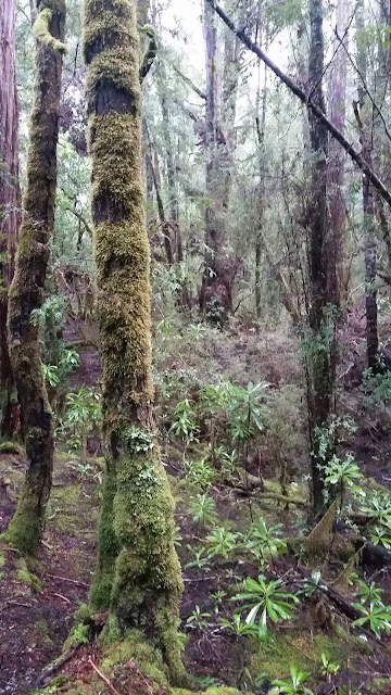 Western Arthur Winter Amble – Part 1