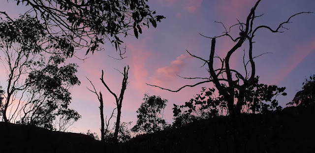 Sunset at Fourways Camp