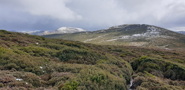Mt La Perouse and Hill Two