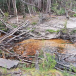 Western & Eastern Arthur Traverse – Part 1