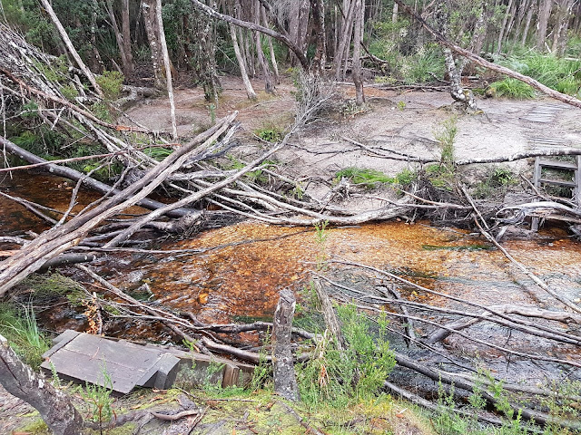 Western & Eastern Arthur Traverse – Part 1