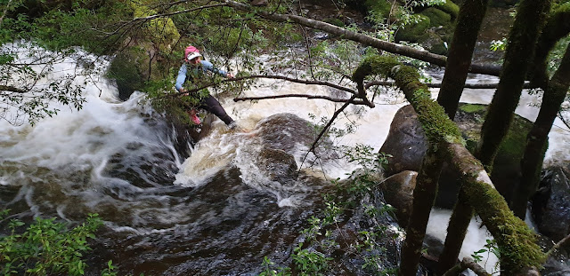 Trail runner crossing Kia Ora Creek