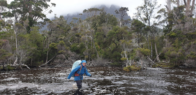 Wading New River Lagoon