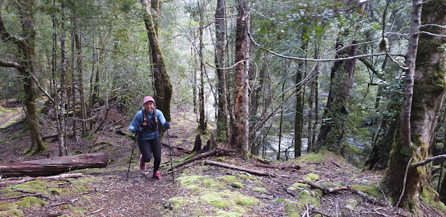 Trail runner powering uphill