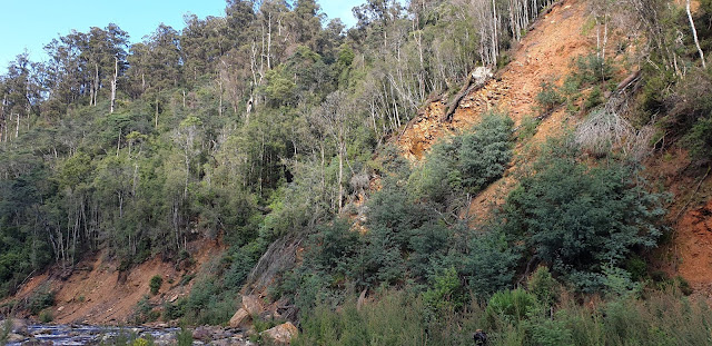 Leven Canyon landslide