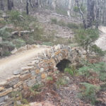 Back Yard Loop – Bridges