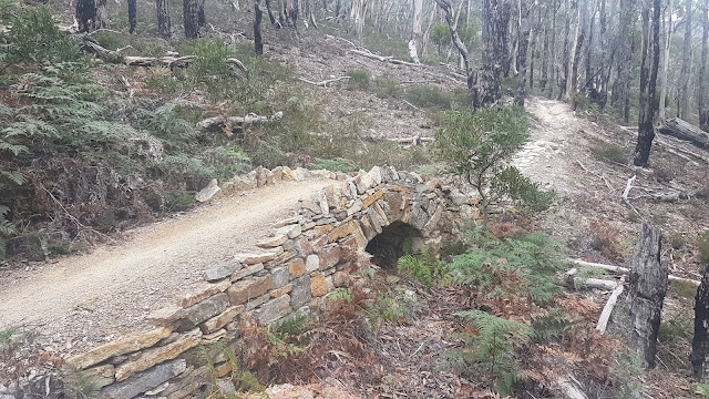 Back Yard Loop – Bridges