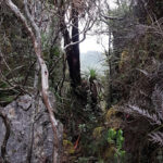 Western and Eastern Arthurs Traverse – Part 6