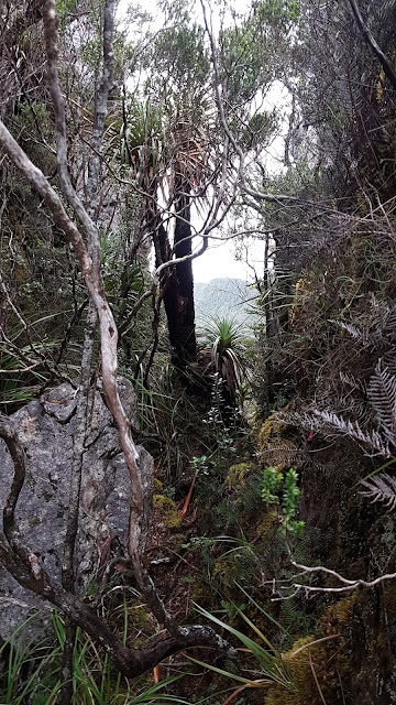 Western and Eastern Arthurs Traverse – Part 6