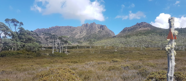 Mt Ossa from Pinestone Valley