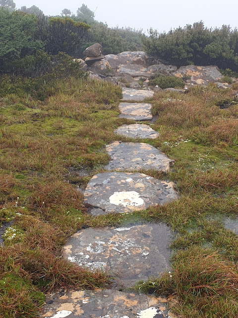 Trackwork on Precipitous Bluff