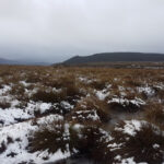 Windermere to Pelion