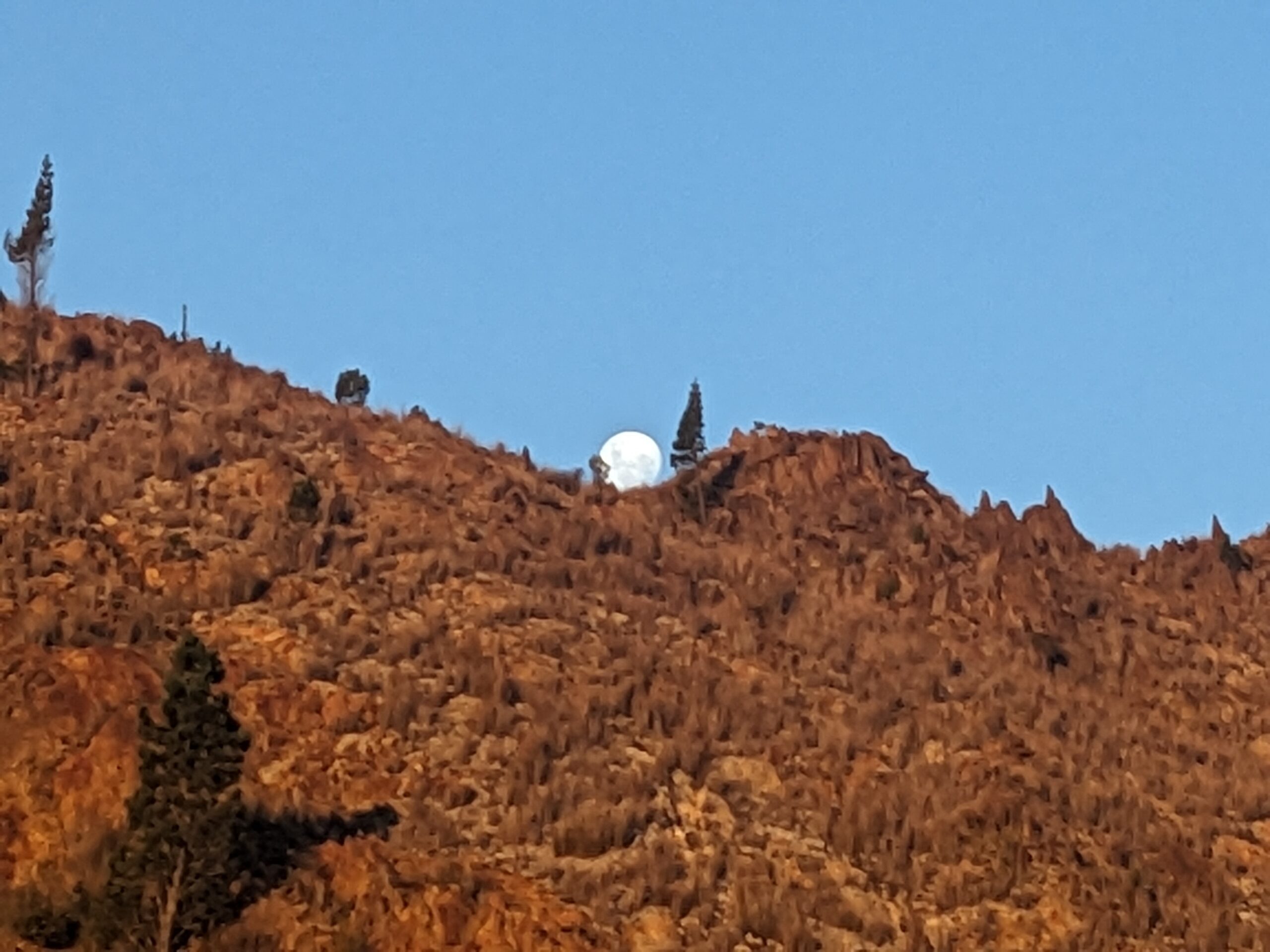 Moonrise at Queenstown