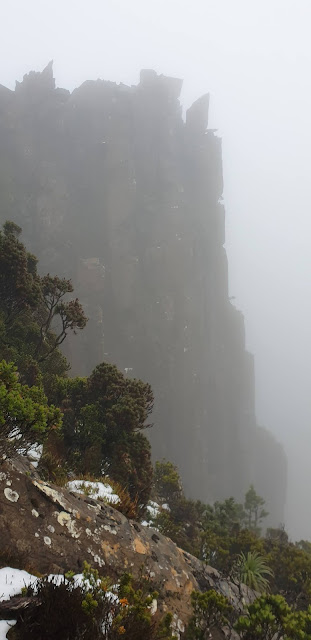 DOlerite columns in mist