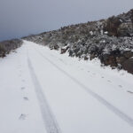 Back Yard Rain & Snow