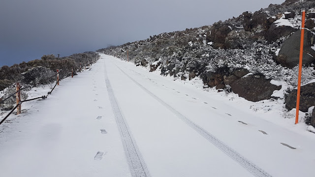Back Yard Rain & Snow