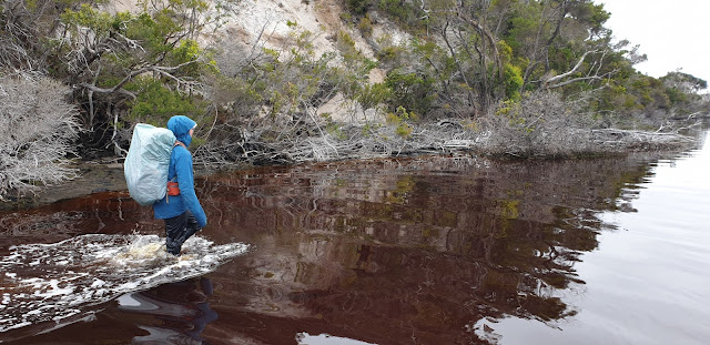 Wading New River Lagoon
