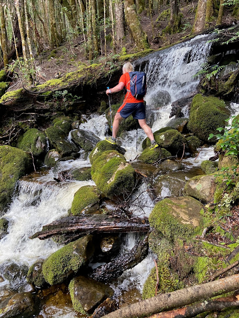Trail runner crossing creek