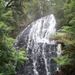 Tarkine Falls – May & June 2008