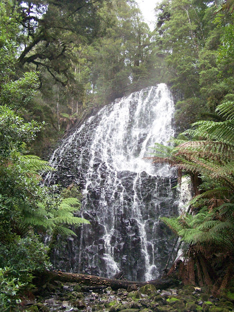Tarkine Falls – May & June 2008