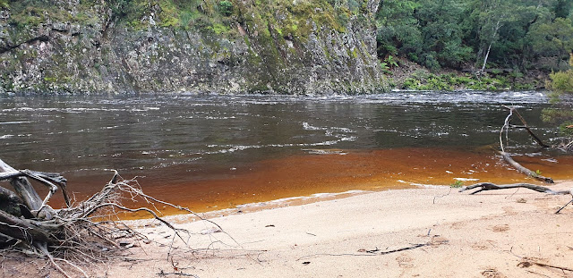 Tulip Tree Beach, Leven Canyon