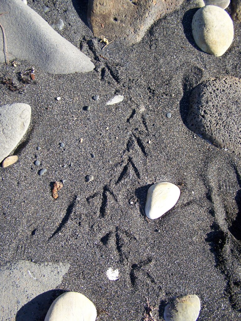 Black Sand