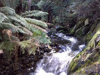 Joy Creek