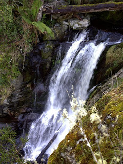Joy Falls