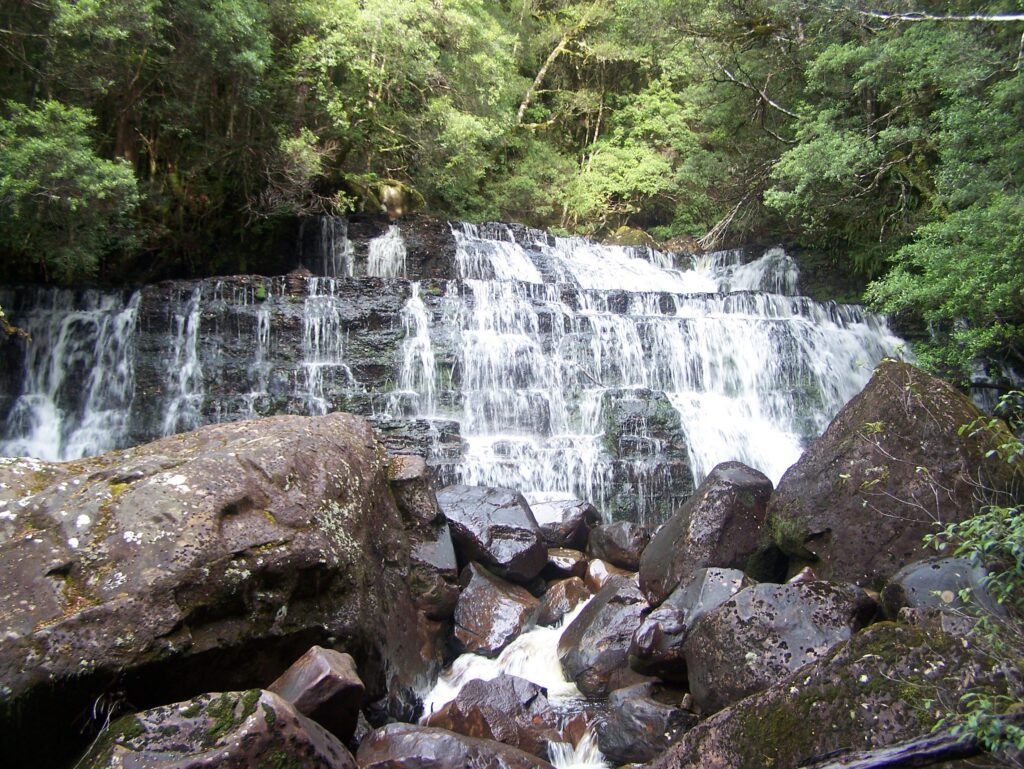 Kia Ora Creek