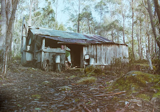 Basil Steers Hut No. 3 & Gads Falls