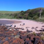 Paradise Cove