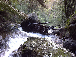 Tier Creek
