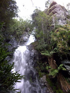Tier Creek