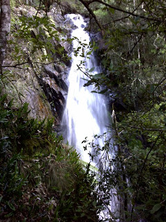 Tier Creek